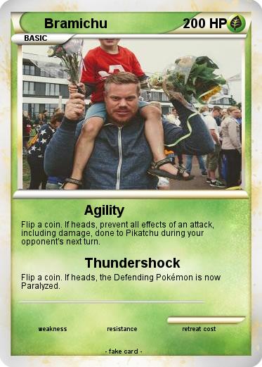 Pokemon Bramichu