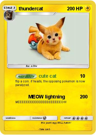 Pokemon thundercat