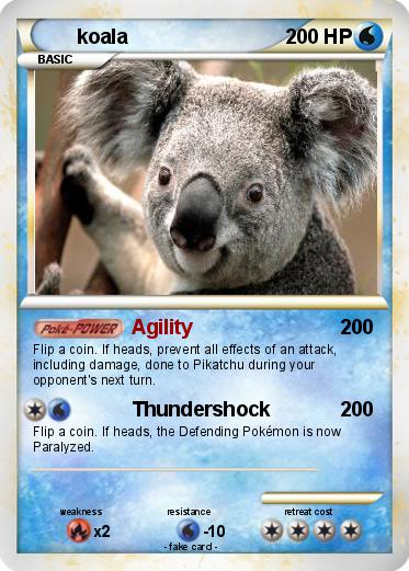 Pokemon koala