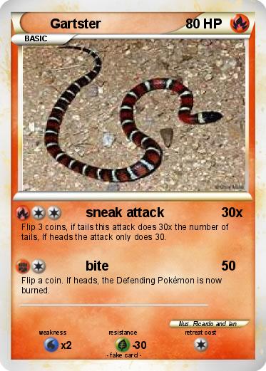 Pokemon Gartster