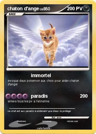 Pokemon chaton d'ange