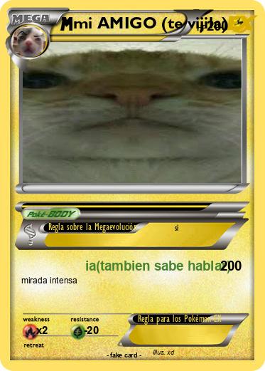 Pokemon mi AMIGO (te vijila)