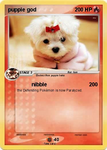 Pokemon puppie god