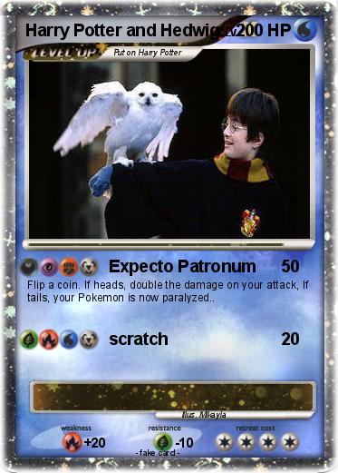 Pokemon Harry Potter and Hedwig