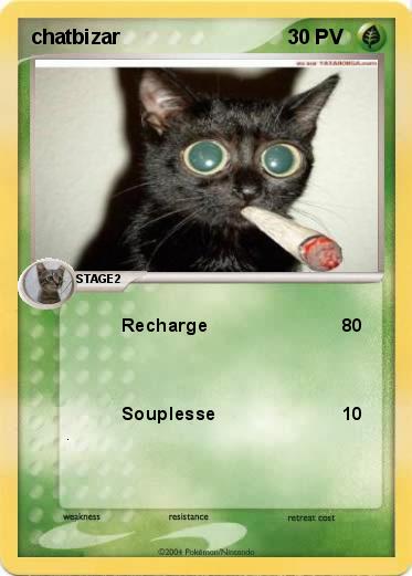 Pokemon chatbizar