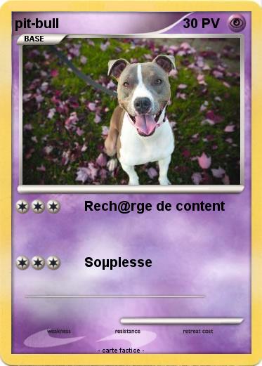 Pokemon pit-bull