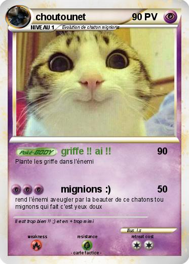 Pokemon choutounet
