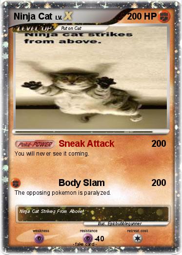 Pokemon Ninja Cat