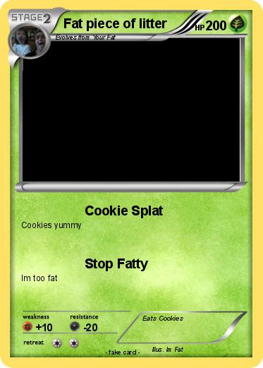 Pokemon Fat piece of litter