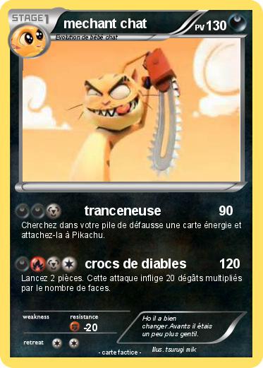 Pokemon mechant chat