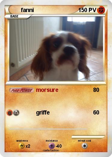 Pokemon fanni