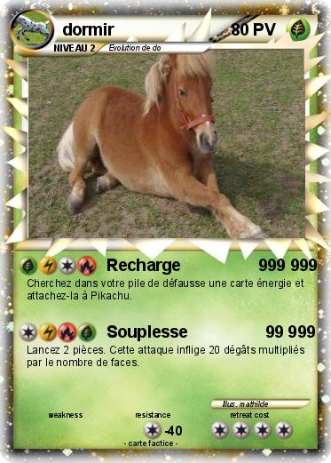 Pokemon dormir