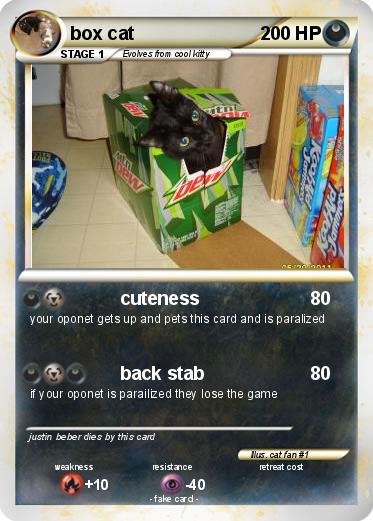 Pokemon box cat