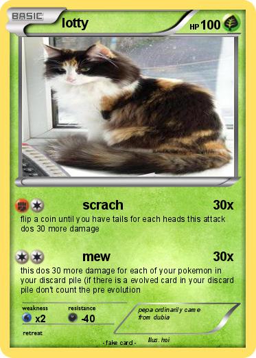 Pokemon lotty