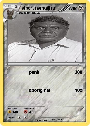Pokemon albert namatjira