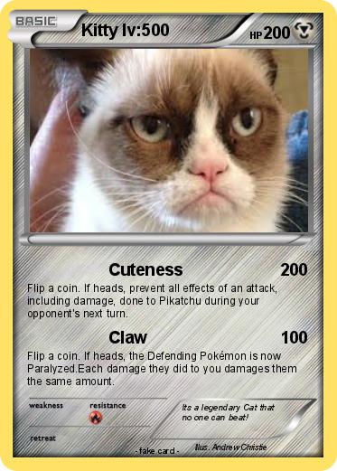 Pokemon Kitty lv:500
