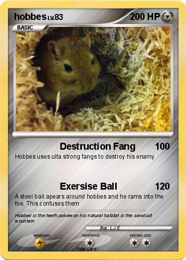 Pokemon hobbes