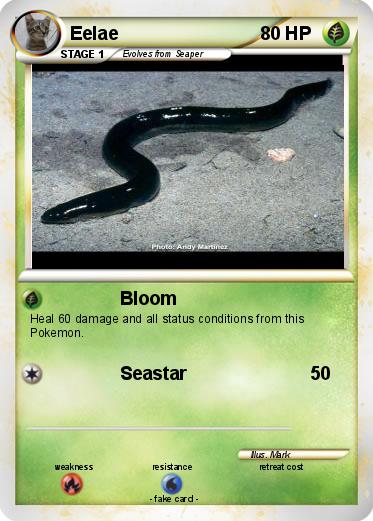 Pokemon Eelae