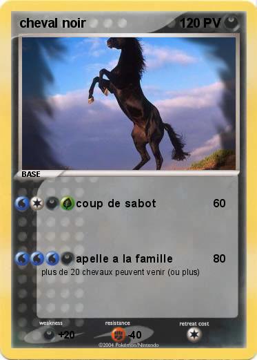 Pokemon cheval noir