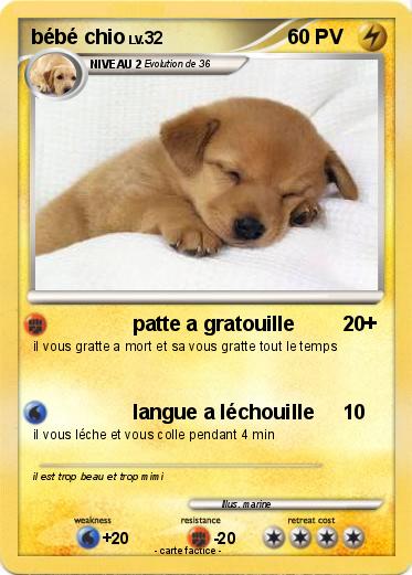Pokemon bébé chio