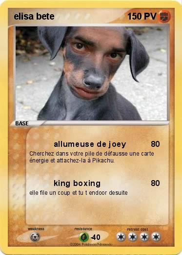 Pokemon elisa bete