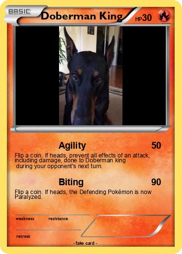 Pokemon Doberman King