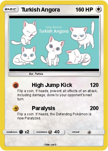 Pokemon Turkish Angora
