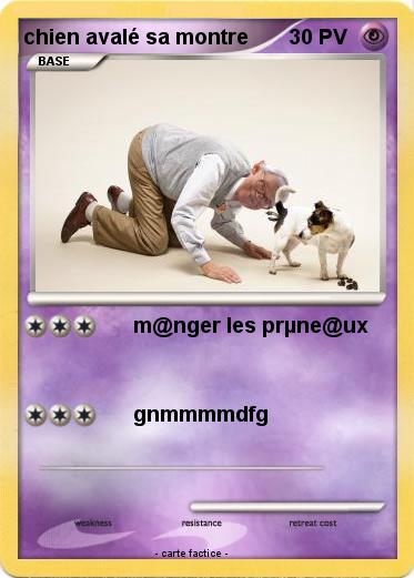 Pokemon chien avalé sa montre