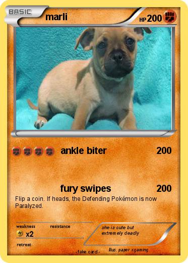 Pokemon marli