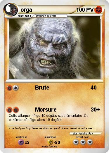Pokemon orga