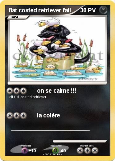 Pokemon flat coated retriever fail