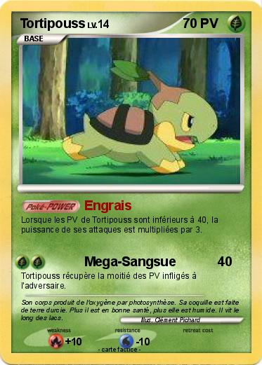 Pokemon Tortipouss