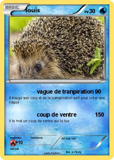 Pokemon louis