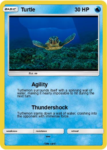 Pokemon Turtle