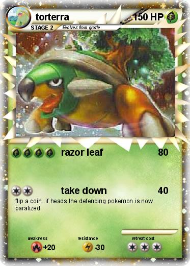 Pokemon torterra