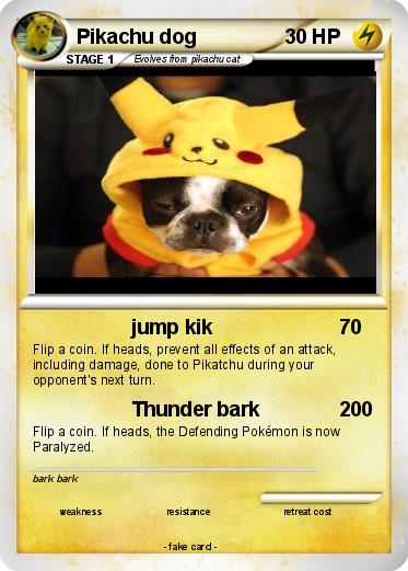 Pokemon Pikachu dog