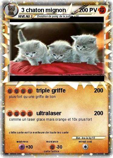 Pokemon 3 chaton mignon
