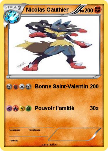 Pokemon Nicolas Gauthier