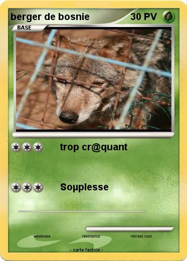 Pokemon berger de bosnie