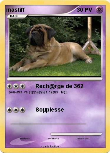 Pokemon mastiff