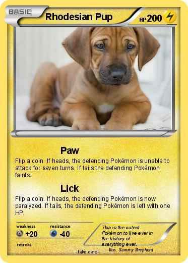 Pokemon Rhodesian Pup