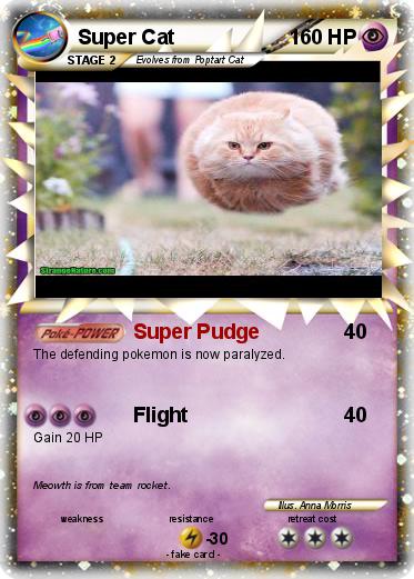 Pokemon Super Cat