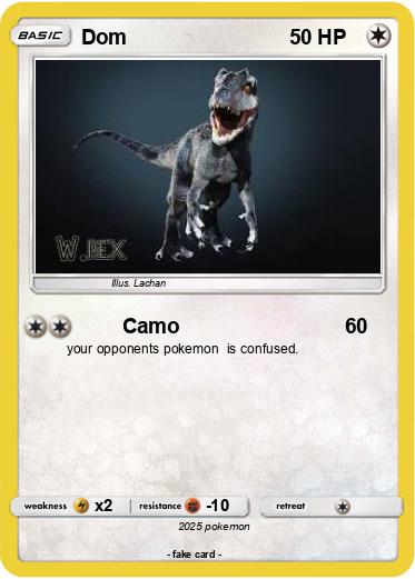Pokemon Dom