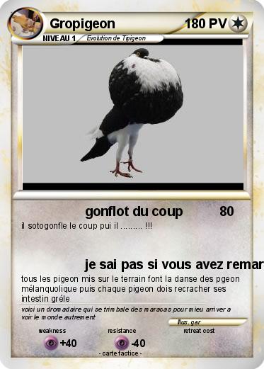 Pokemon Gropigeon