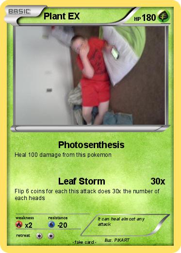 Pokemon Plant EX