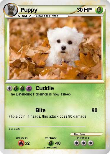 Pokemon Puppy