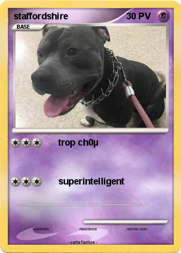 Pokemon staffordshire