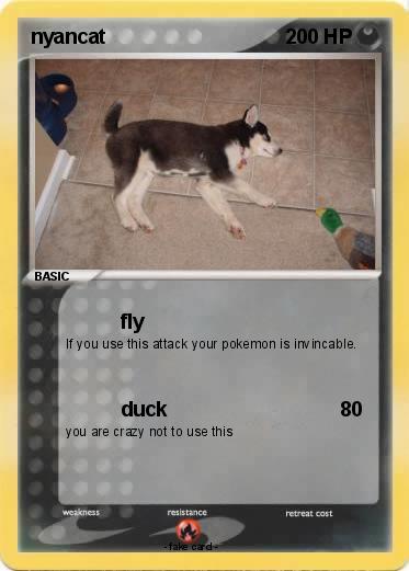 Pokemon nyancat