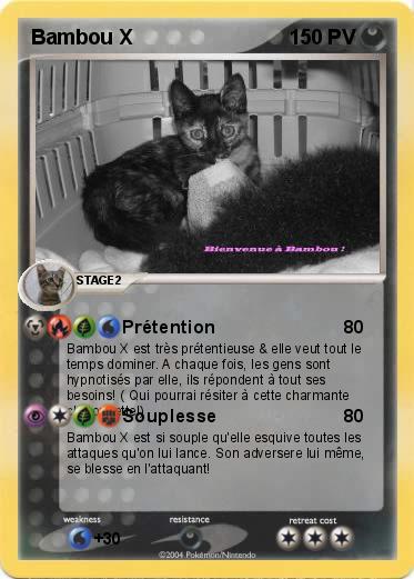 Pokemon Bambou X