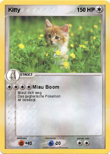 Pokemon Kitty